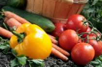 Welcome to The Berry Man, Inc. We are a wholesale produce distributor supplying restaurants, resorts, institutions, caterers and markets from big Sur to Malibu. Located in Santa Barbara and San Luis Obispo the Company is locally Owned by Guy De Mangeon.